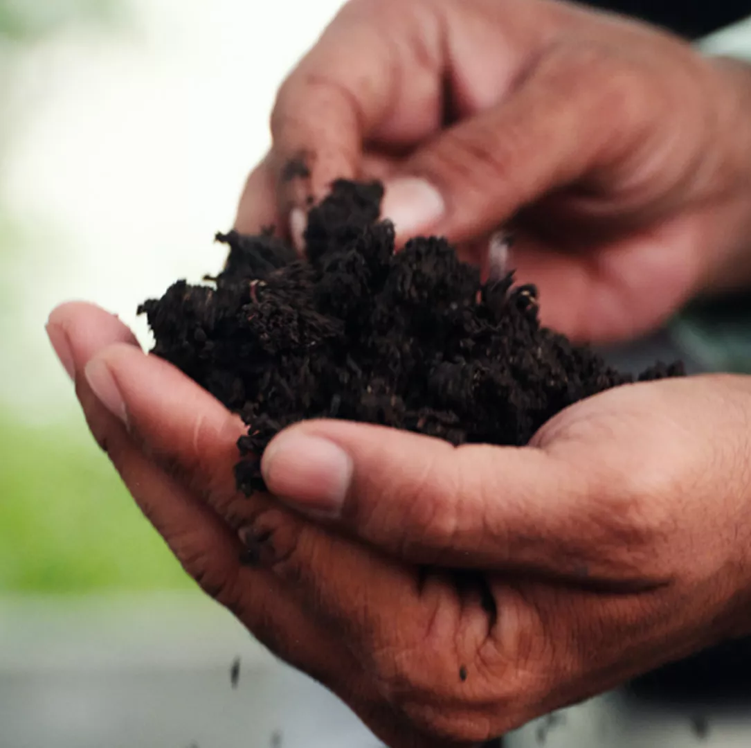 Holding a handful of dirt